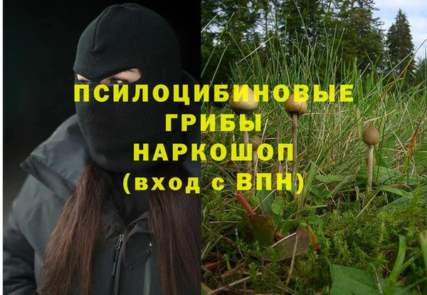 метадон Кинешма